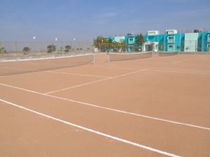 SPORTS GROUNDS