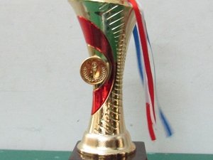 School Achievements
